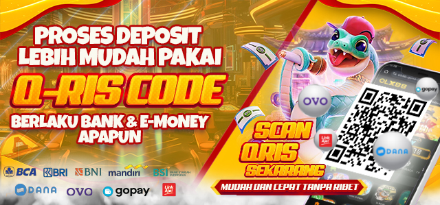 QRIS CODE